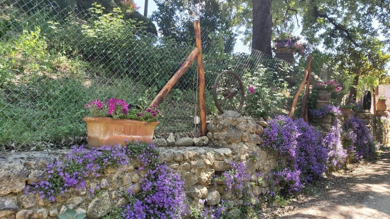 La Limonaia Country House Monteriggioni Exterior photo